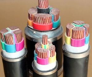 FCMC-PFZ-0.6/1KV 3*50+3*10變頻電纜 現(xiàn)代電力傳輸?shù)暮诵慕M件
